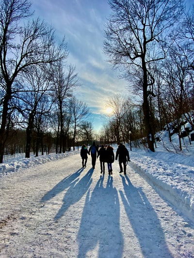 人们走在白天被雪覆盖的道路
